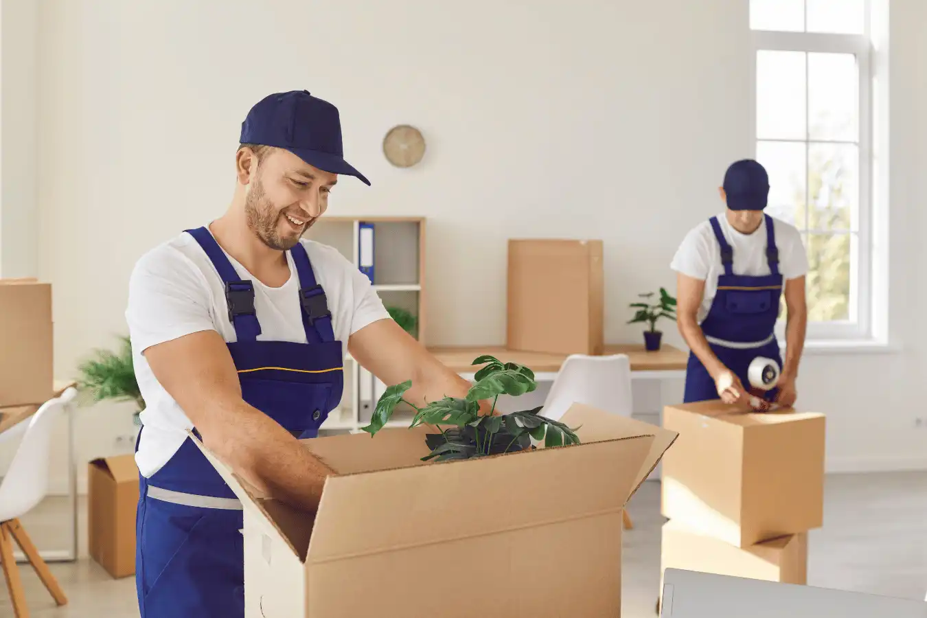 new-furniture-transport (5)